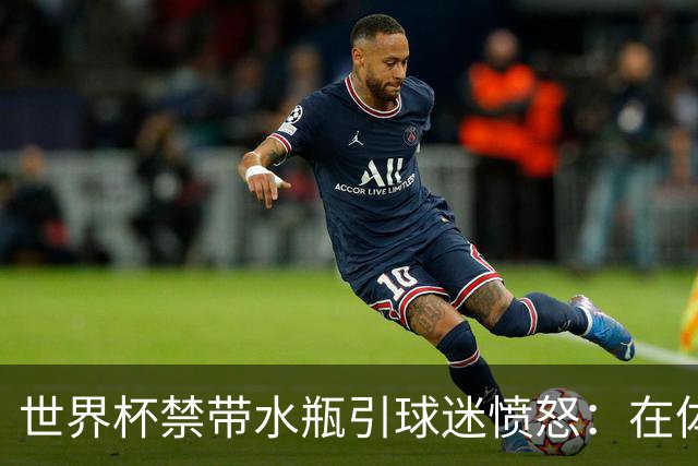 世界杯禁带水瓶引球迷愤怒：在体育场里买？难道更贵就更安全？